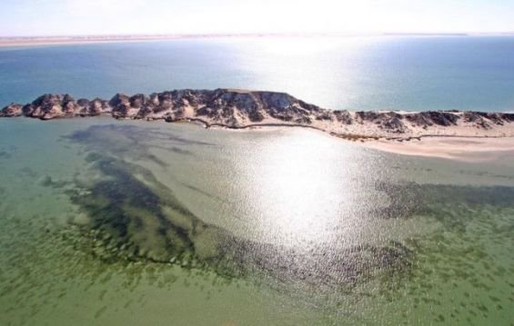 L’île du Dragon